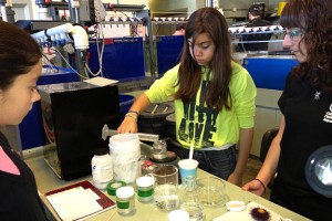 student research-urchins