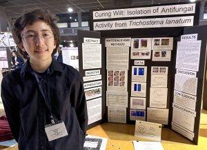 S1513_Tinwin Htun_North Hollywood_